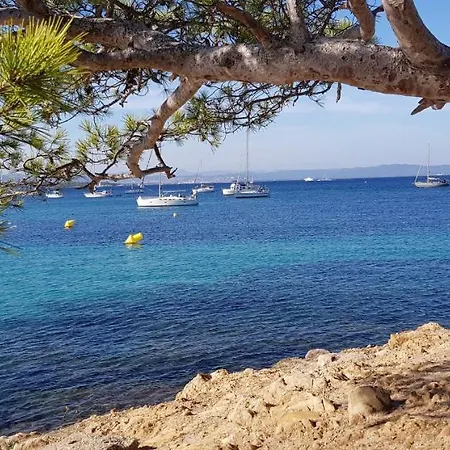 Au Morgan De Vous Appartement Le Lavandou